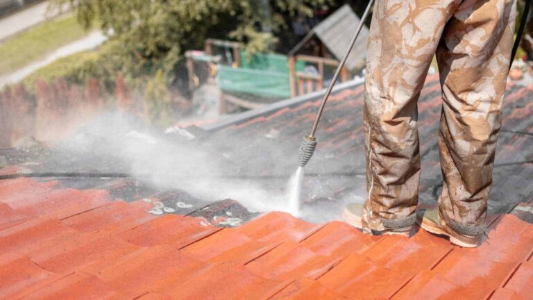 Roof Cleaning And Its Need